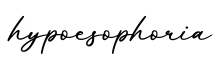 单词hypoesophoria书写