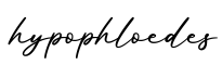 单词hypophloedes书写