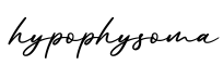 单词hypophysoma书写
