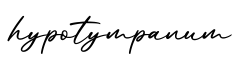 单词hypotympanum书写