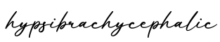 单词hypsibrachycephalic书写