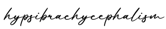 单词hypsibrachycephalism书写