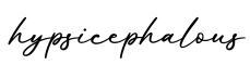 单词hypsicephalous书写