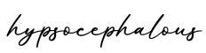 单词hypsocephalous书写
