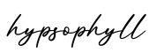单词hypsophyll书写
