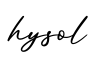 单词hysol书写