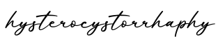 单词hysterocystorrhaphy书写