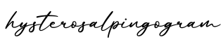 单词hysterosalpingogram书写
