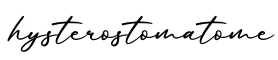 单词hysterostomatome书写