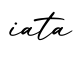 单词iata书写