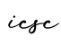 单词icsc书写
