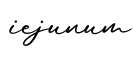 单词iejunum书写