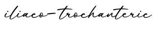 单词iliaco-trochanteric书写