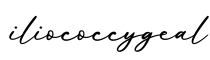 单词iliococcygeal书写