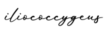 单词iliococcygeus书写