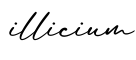单词illicium书写