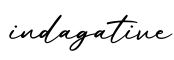 单词indagative书写