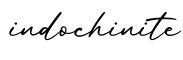 单词indochinite书写