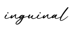 单词inguinal书写