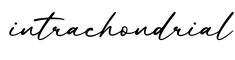 单词intrachondrial书写