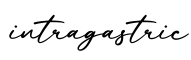 单词intragastric书写
