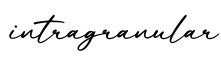 单词intragranular书写