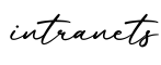 单词intranets书写