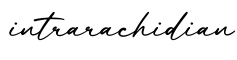 单词intrarachidian书写
