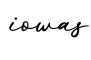 单词iowas书写
