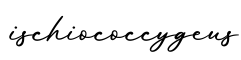 单词ischiococcygeus书写