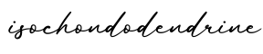 单词isochondodendrine书写