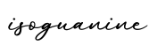 单词isoguanine书写