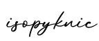 单词isopyknic书写