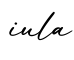 单词iula书写