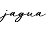 单词jagua书写