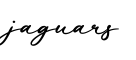 单词jaguars书写