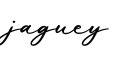 单词jaguey书写