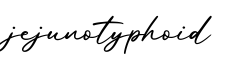 单词jejunotyphoid书写