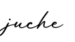 单词juche书写