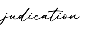 单词judication书写