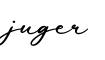 单词juger书写