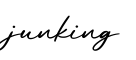 单词junking书写