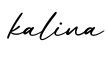 单词kalina书写
