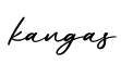 单词kangas书写