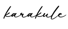 单词karakule书写