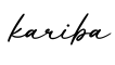 单词kariba书写