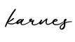 单词karnes书写