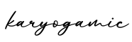 单词karyogamic书写