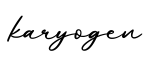 单词karyogen书写