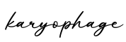 单词karyophage书写